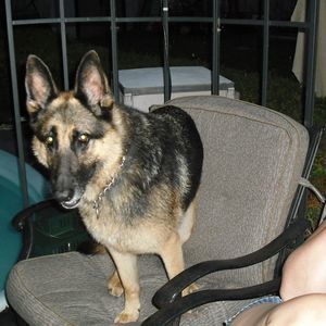 Meet your Posher, Tereasa